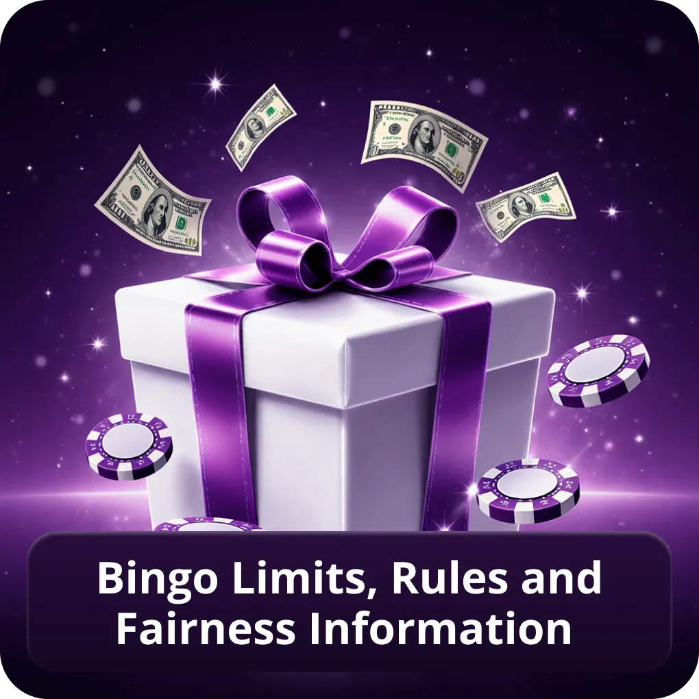 Bingo limits, rules and fairness information