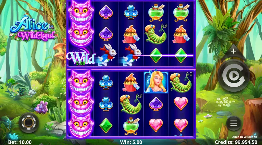 Alice in Wildland slot Canada verdict and responsible play guidance Alice in Wildland verdict and responsible play