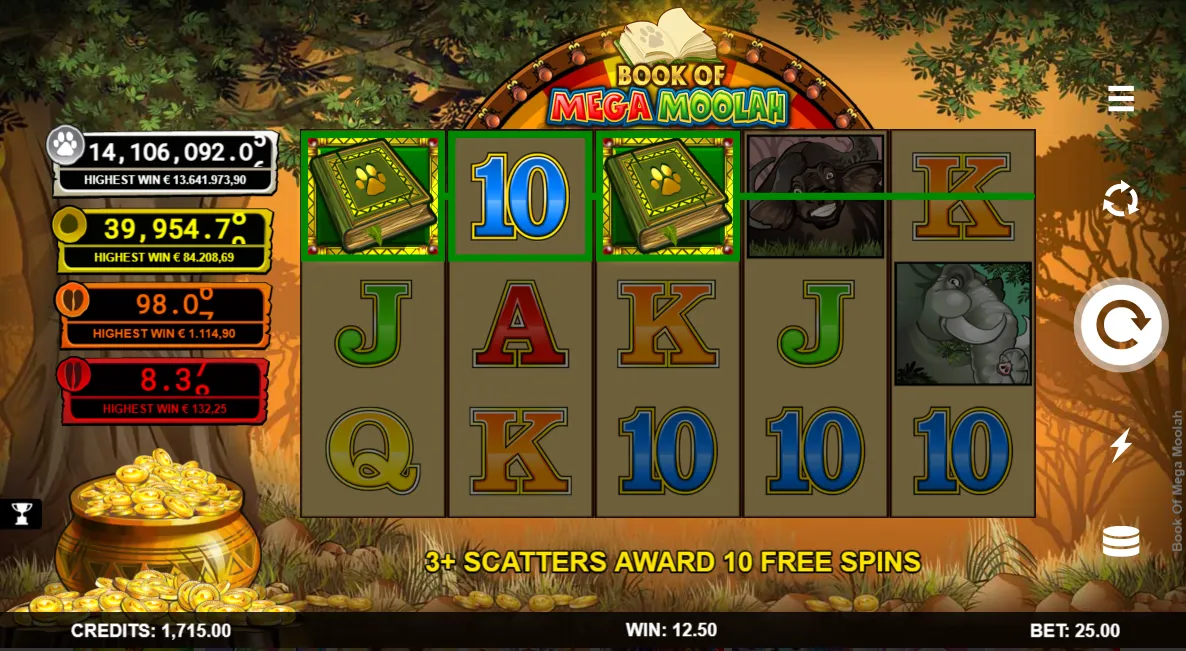 How Mega Moolah gameplay works