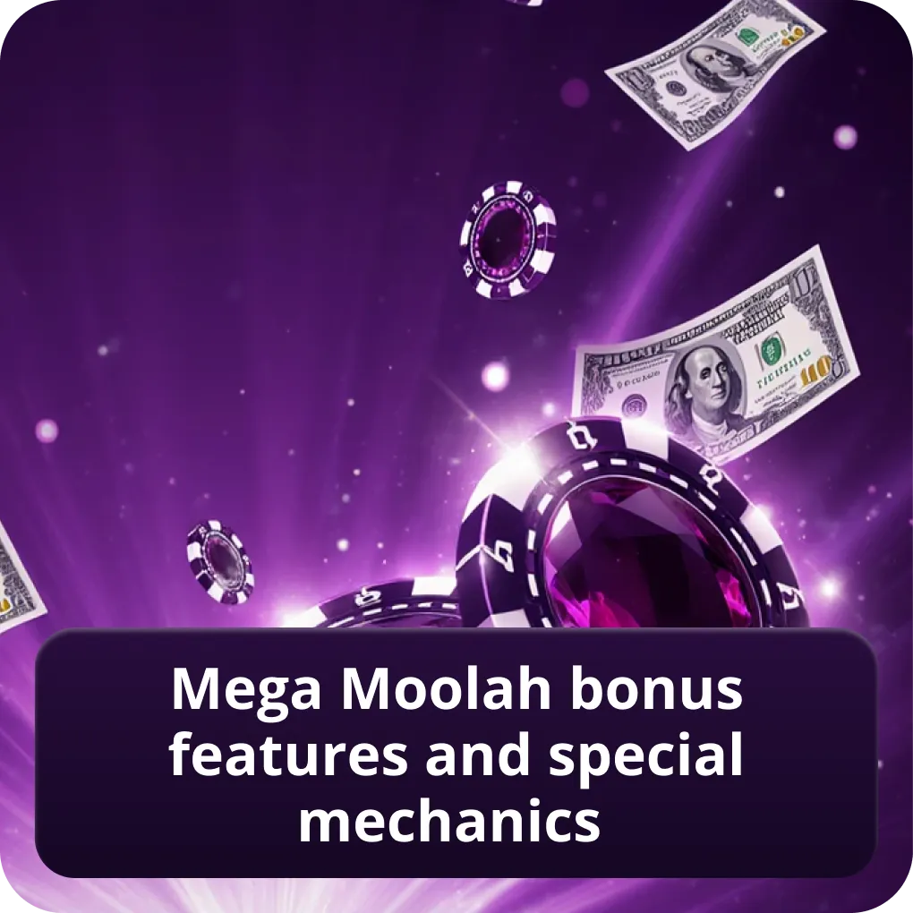 Mega Moolah bonus features and special mechanics